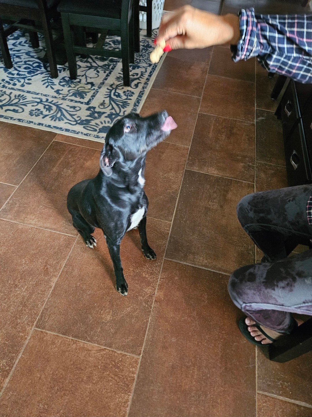 Zima, photo 2